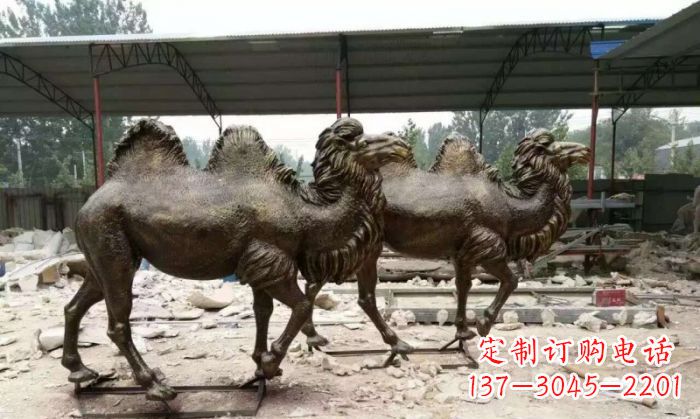 连云港骆驼动物铜雕 (4)
