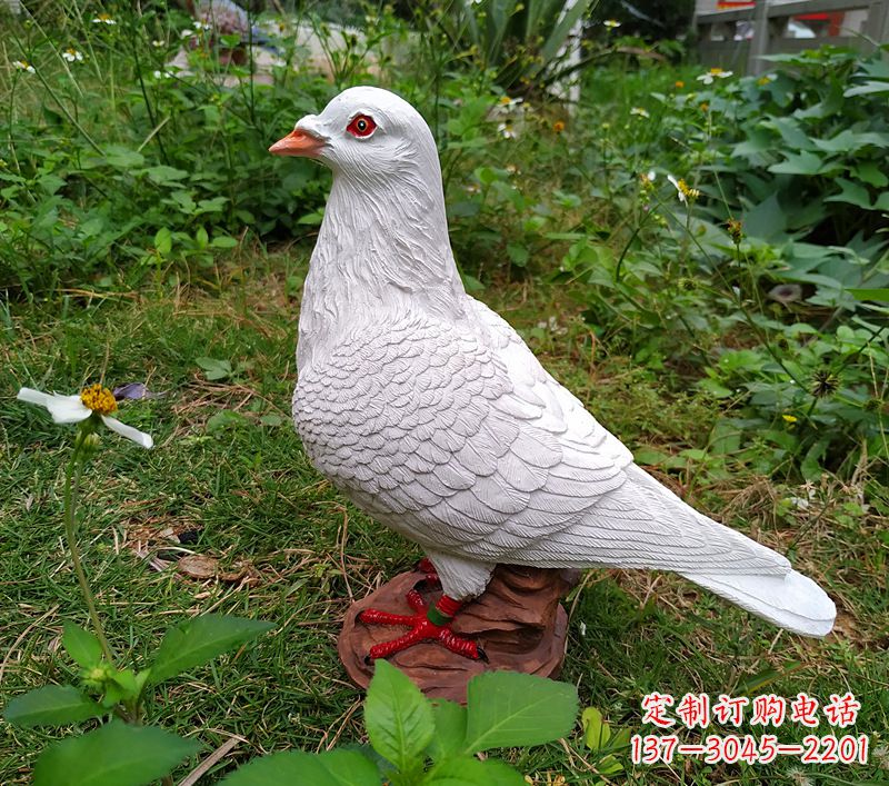 连云港为和平献芳礼：精美少女与和平鸽雕塑