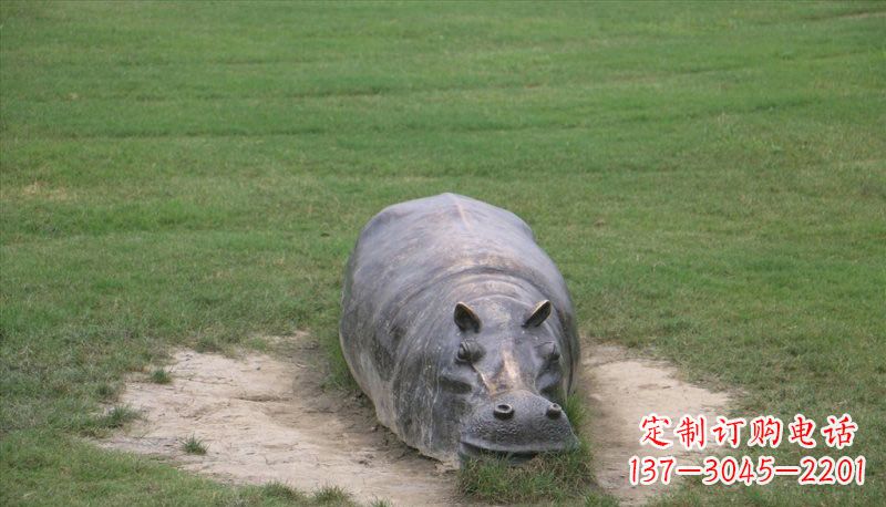 连云港铜雕趴着的河马