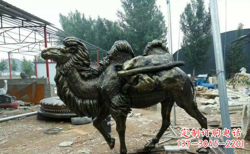 连云港驮着东西的骆驼铜雕