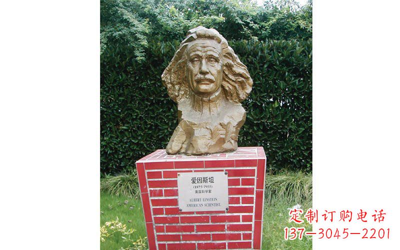 连云港西方名人爱因斯坦头像铜雕